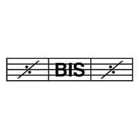 BIS厂牌205CD/263.30GB