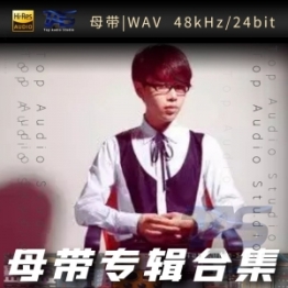 王子月（WAV母带专辑合集）