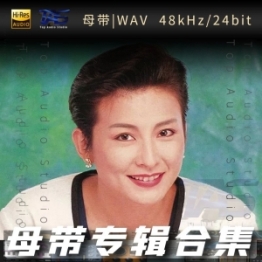 陈淑桦（WAV母带专辑合集）