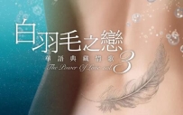 【HOT】白羽毛之恋 华语典藏情歌 Vol.1-3合集