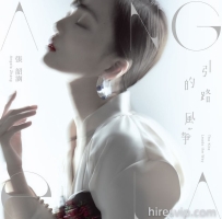 引路的风筝