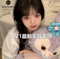 2021最新中文车载串烧