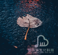 和失眠说晚安 无损轻音钢琴曲 聆听大自然美妙的声音 唯美纯音乐5分钟入睡