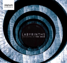 【专享】迷宫 (Labyrinths)
