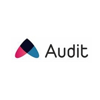 Audite厂牌36CD/40.01GB